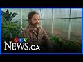 Zach Galifianakis’ new gardening show shot in B.C.