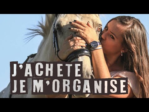 Vidéo: Où trouver un cheval ?