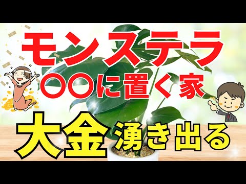 Just placing a Monstera plant in ○○ will make you rich [Feng