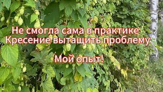 видео: В практике Кресение не смогла сама вытащить проблему из себя! Мой опыт картинка: В практике Кресение не смогла сама вытащить проблему из себя! Мой опыт