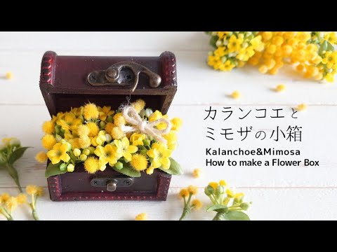 カランコエとミモザの小箱/春のフラワーアレンジ/Kalanchoe&Mimosa/How