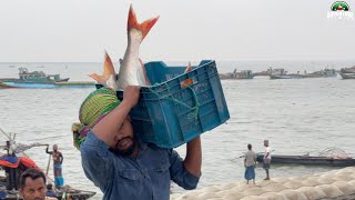 পদ্মা পাড়ে বড় বড় মাছ দেখে রিতিমত অবাক আমরা | মৈনট ঘাট দোহার | Adventure BD