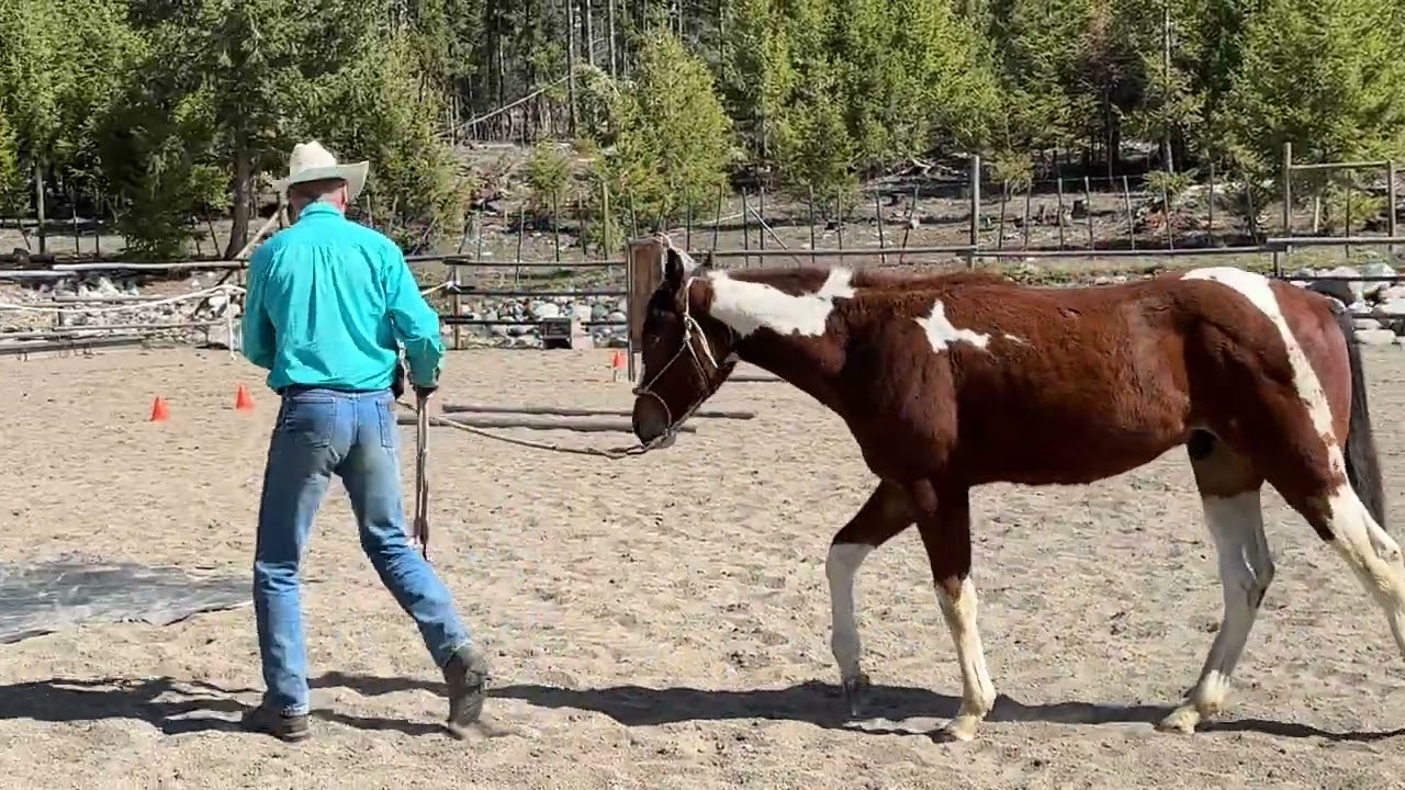 Virtual Trail Rider Challenge #37