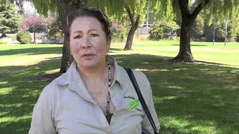 Trish Sullivan: Why I Support Dennis Donohue for M...