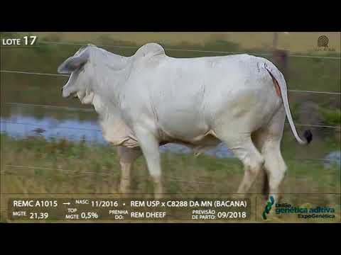 Lote 17 - REM FUMOSA