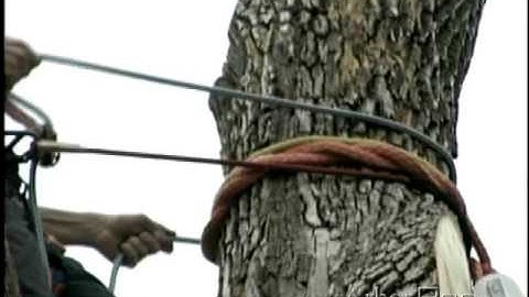 Work Positioning When Topping