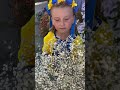 Happy Independence Day Of Ukraine Shortvideo Garden