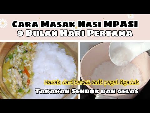 Takaran Beras Untuk Mpasi 9 Bulan