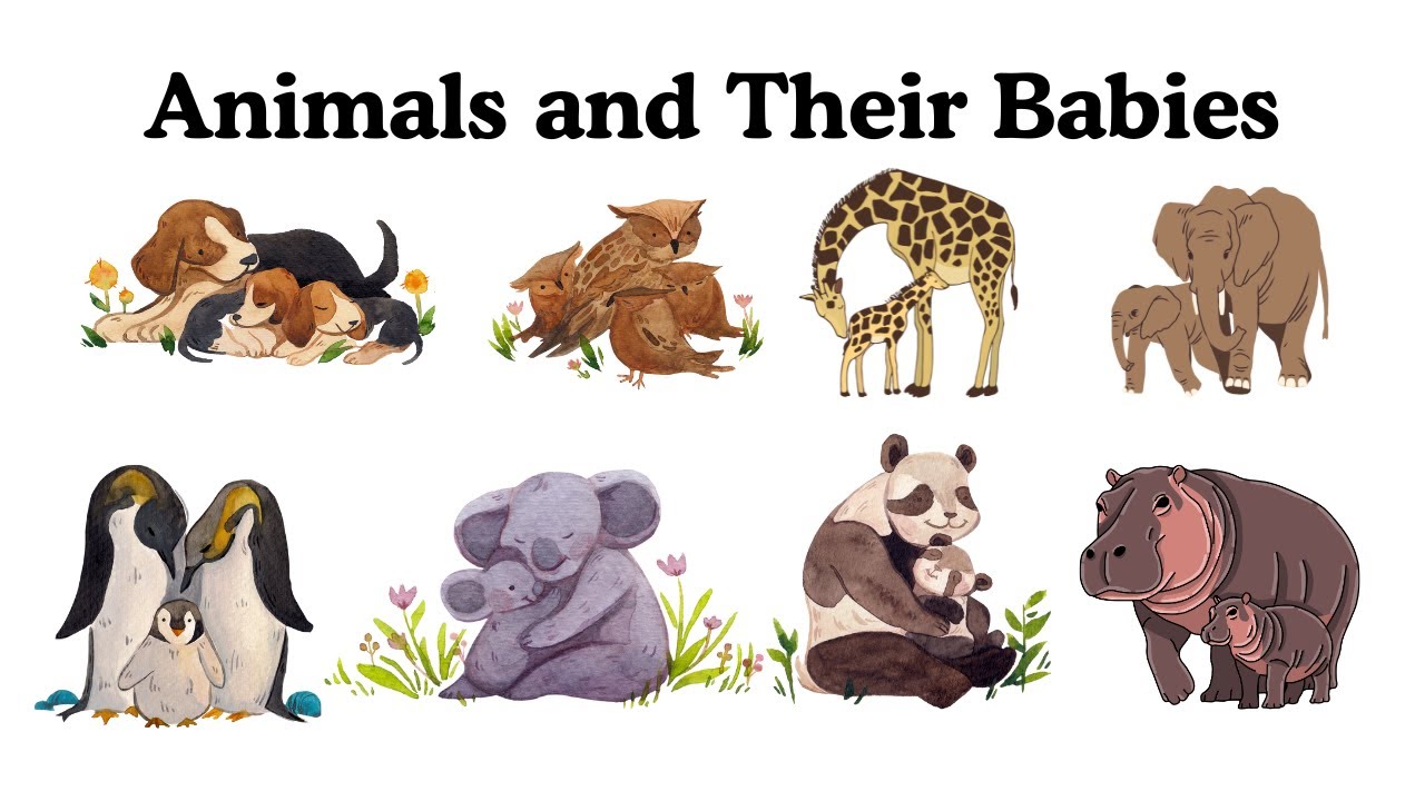 50 Cute Animal Babies and Their Parents You Need to See