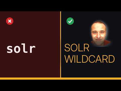 Solr wildcard search with special character (2 Solutions!!)