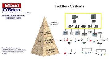 The Basics of a Fieldbus Control Network