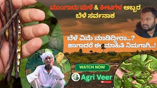 ನಿಮ್ಮ ಬೆಳೆ ವಿಮೆ ಸಮೀಕ್ಷೆಯಲ್ಲಿ ತಪ್ಪಾಗಿದೆಯಾ...?| Crop insurance 🌱| ಸರಿಪಡಿಸಿಕೊಳ್ಳಬೇಕೆ..!🌾