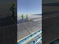 #globaltrade #solarrepairStop Wasting Money on Dust! 💰 Best PV Cleaning Solution