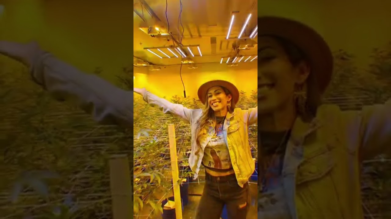How women in cannabis celebrate 420 in SoCal! Coast to Coast 420 Tour- Women in weed -SoCal Cannabis