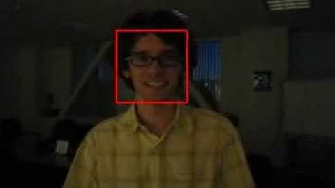 Illumination Invariant Object Tracking with Adaptive Sparse Representation