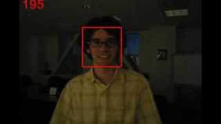 Illumination Invariant Object Tracking with Adaptive Sparse Representation