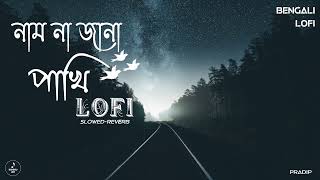 Naam Na Jana Pakhi LOFI (নাম না জানা পাখি) || SLOWED & REVERB Thumb