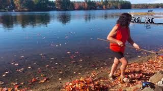 Fall Clean Up: Leaves, Pine Needles, and Brush