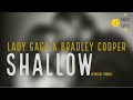 Shallow (Lyrical Video)| Lady Gaga | Bradley Cooper