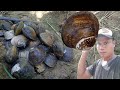 Finding Sea Clam to the mangroves| Makata TV2