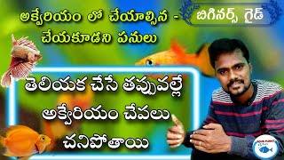 Aquarium Fish Tank Dos And Don'ts | Aquarium Beginner Guide | Aqua Planet Telugu