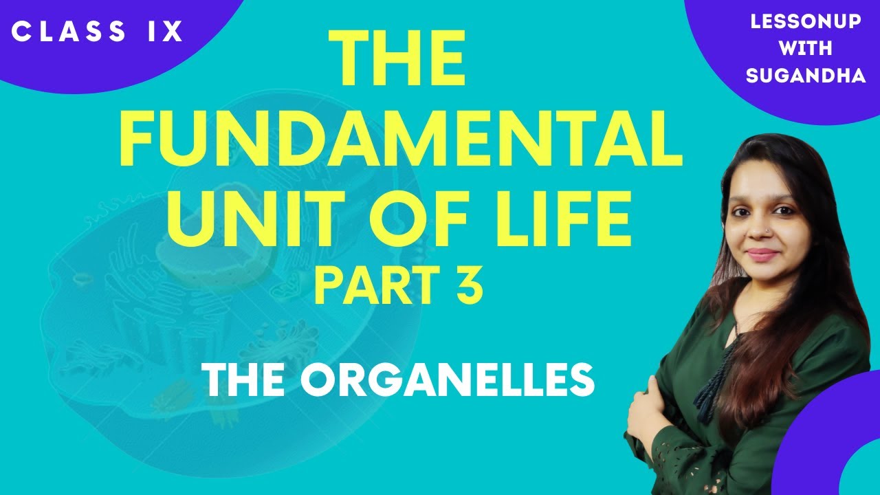 Cell Organelles & Functions| The Fundamental Unit of Life | Biology