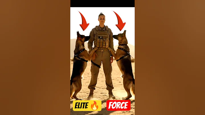 K9 Dogs Military Training 🔥 | Soldier & Dogs Unbreakable Bond 🐕‍🦺💪