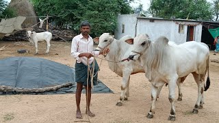 రైతు ఫోన్ నెంబర్... 91 99081 27252