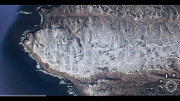 Mud Fossils - Big Island Fish, Bull and Crocodile