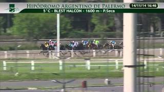 20141114 5 palermo