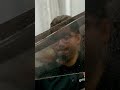 Graphix Lab -  Installing Tint