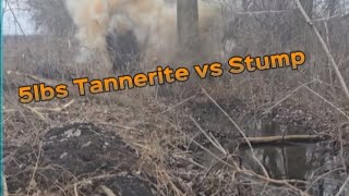 Tannerite vs Stump