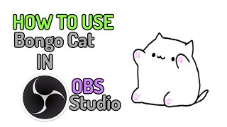 HOW TO USE BONGO CAT FOR OBS STUDIO