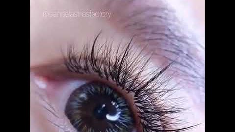 Wispy lashing | Eyelash grafting | Eyelashes extension