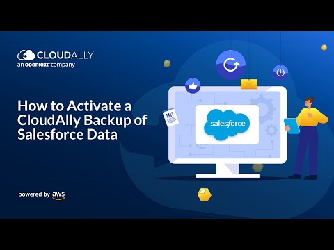 How to Activate a Salesforce Backup