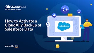 How to Activate a Salesforce Backup