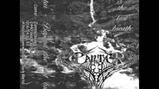 Cantar - Carpe Mortem