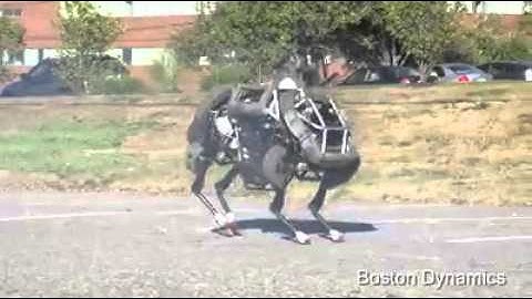 Introducing WildCat - The scariest robot ever