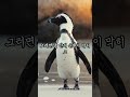 몸은 거짓말을 하지 않는다