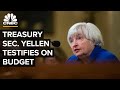 Treasury Secretary Janet Yellen testifies before Congress on budget— 6/17/21