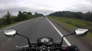 Z300 - Psicotoxic Good Vibes