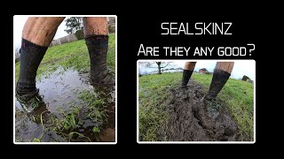 How Good Are Sealskinz Waterproof Socks For Running?