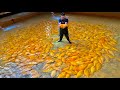 2023년 놀라운 한국 해산물 음식 영상 모음 / 2023 Best Korean seafood video collection