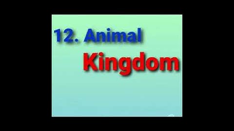 CLASS-1 EVS (CHAPTER-12: ANIMAL KINGDOM-READING)