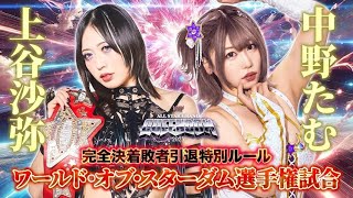 未開封】中野たむ/上谷沙弥 4/27横浜アリーナ物販品 A4アクリルパネル