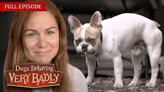 Dogs Behaving Very Badly  Series 1, Episode 2 | Full Episode