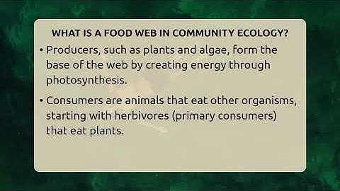 What Is A Food Web In Community Ecology? - Ecosystem Essentials