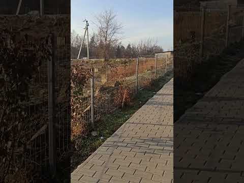 МАРКУЛЕШТЫ. Еврейское кладбище. Ограда и пешеходная дорожка.01.02.25.