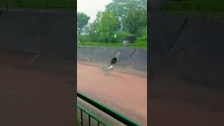 Singapore diaries #singapore #rain #rainyday #rainyweather Singapore diaries #singapore #rain #rainyday #rainyweather