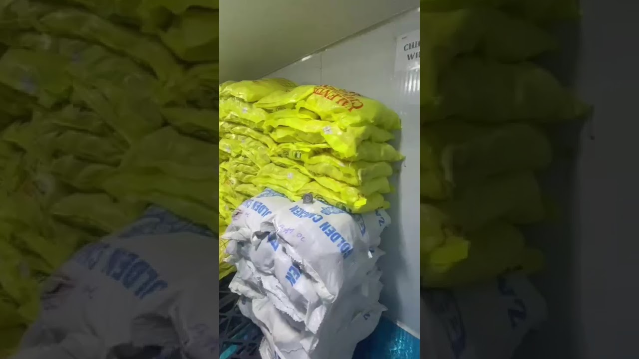 Freezer Cold Room